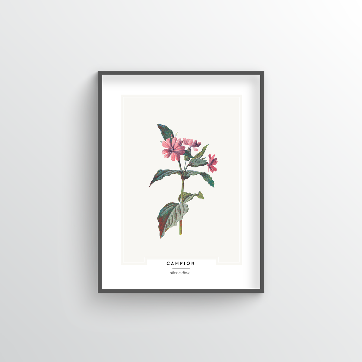 Champion Botanical Art Print - Point Two Design
