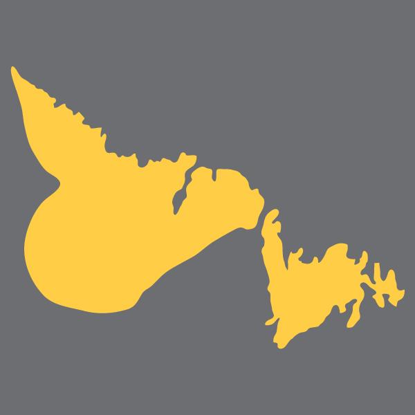 Newfoundland and Labrador City Map Art - Custom City Map Prints - Point Two Design