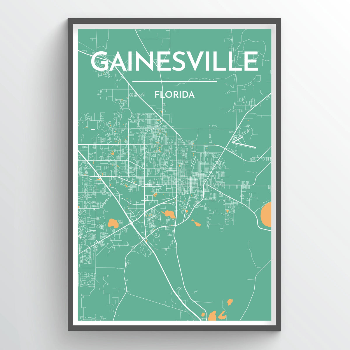 Gainesville City Map Print