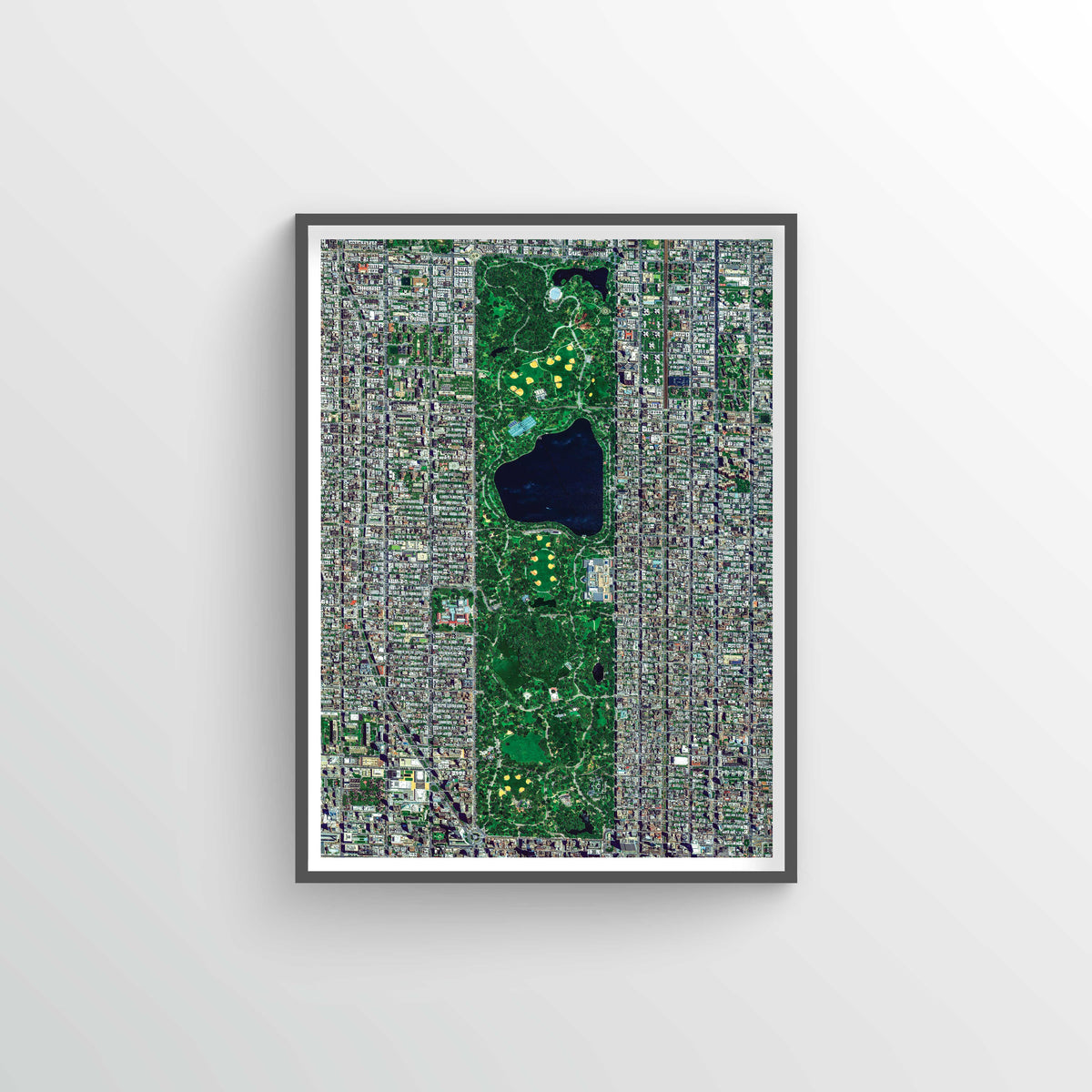 Central Park Earth Photography - Art Print