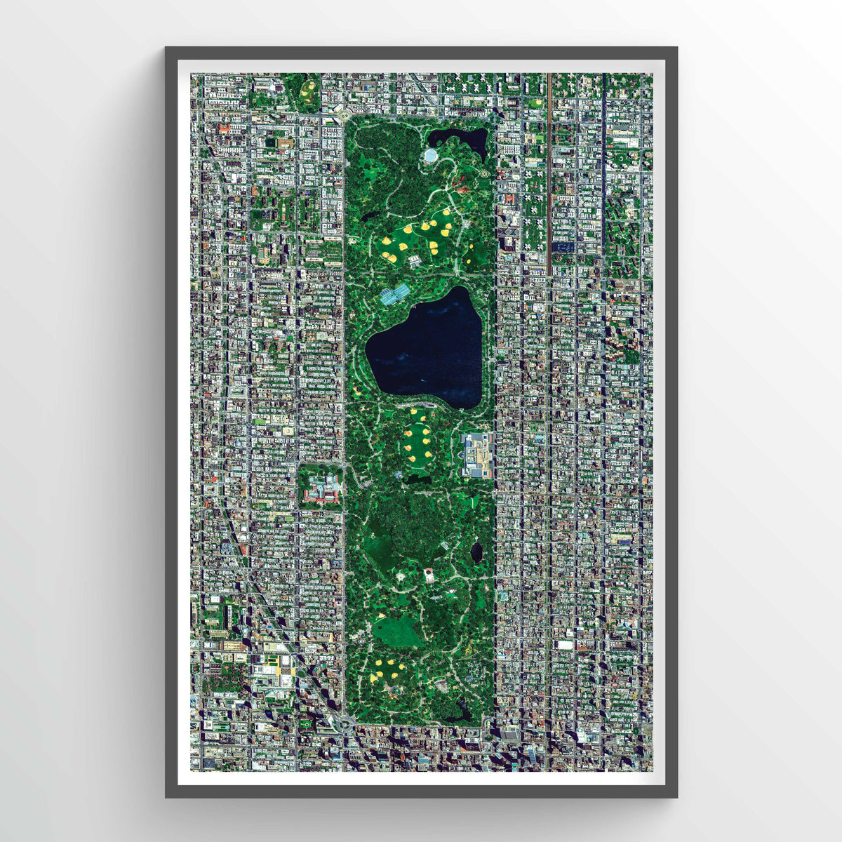Central Park Earth Photography - Art Print - Point Two Design