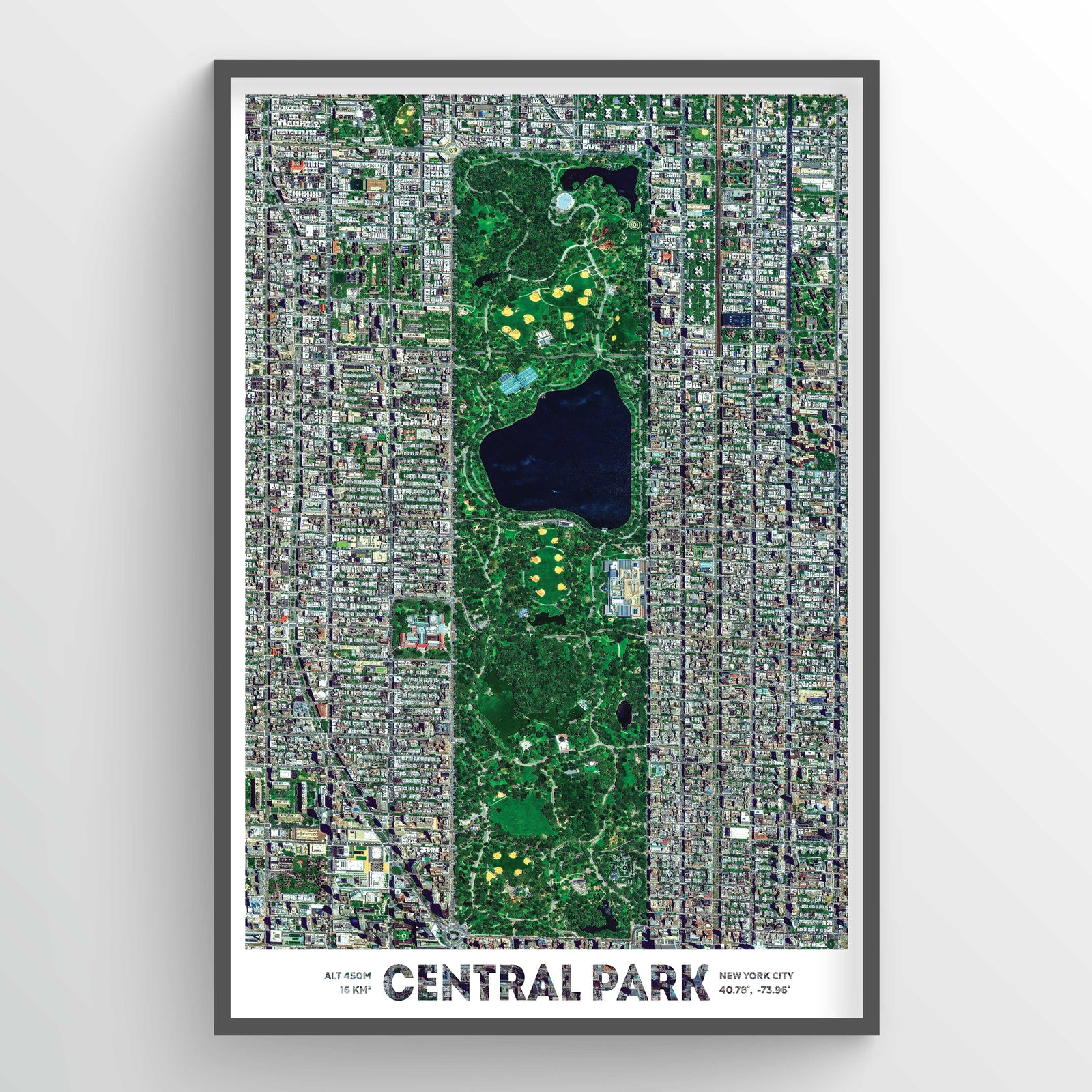 Central Park Earth Photography - Art Print - Point Two Design