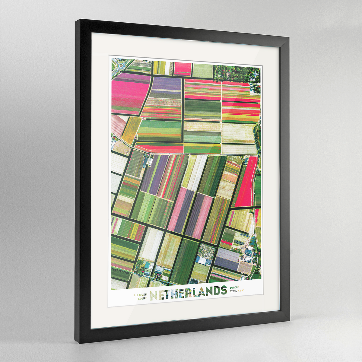 Dutch Tulips Earth Photography Art Print - Framed
