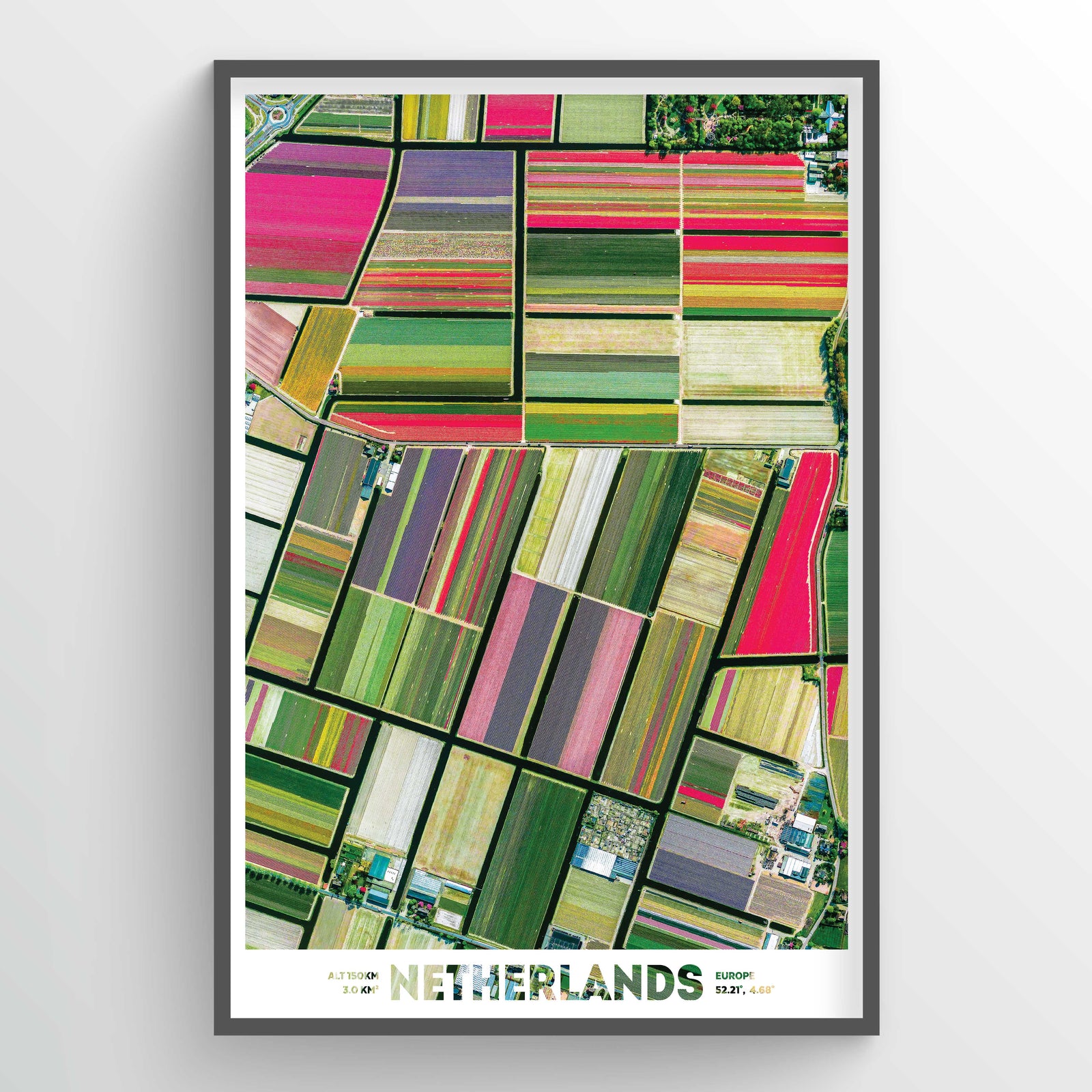 Dutch Tulips Earth Photography - Art Print - Point Two Design