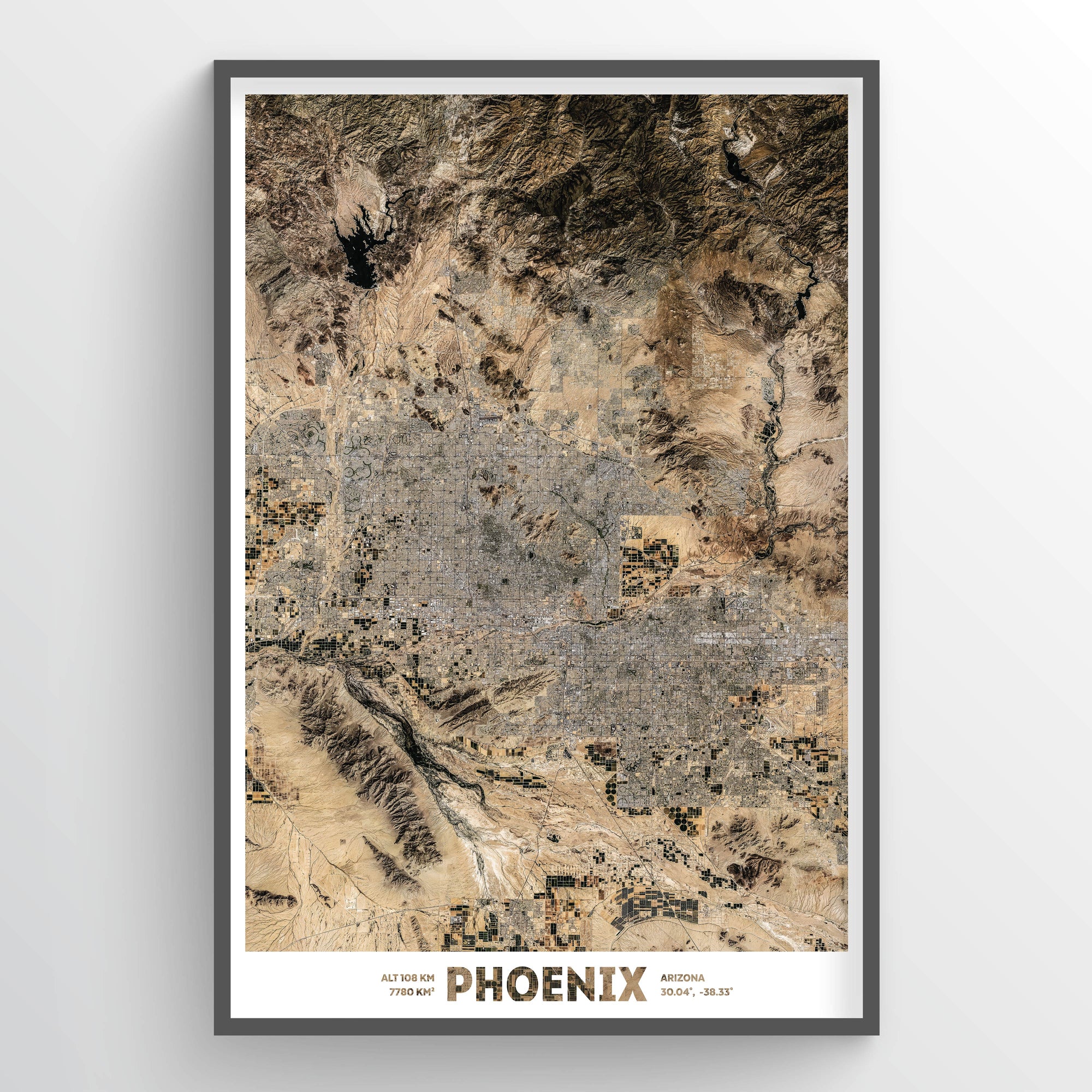 Phoenix - Fine Art