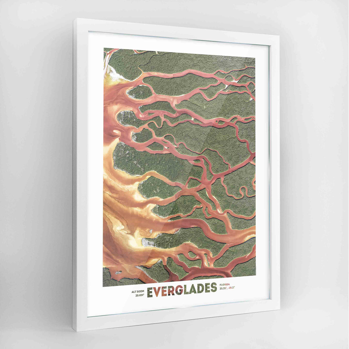 Florida Everglades Earth Photography Art Print - Framed