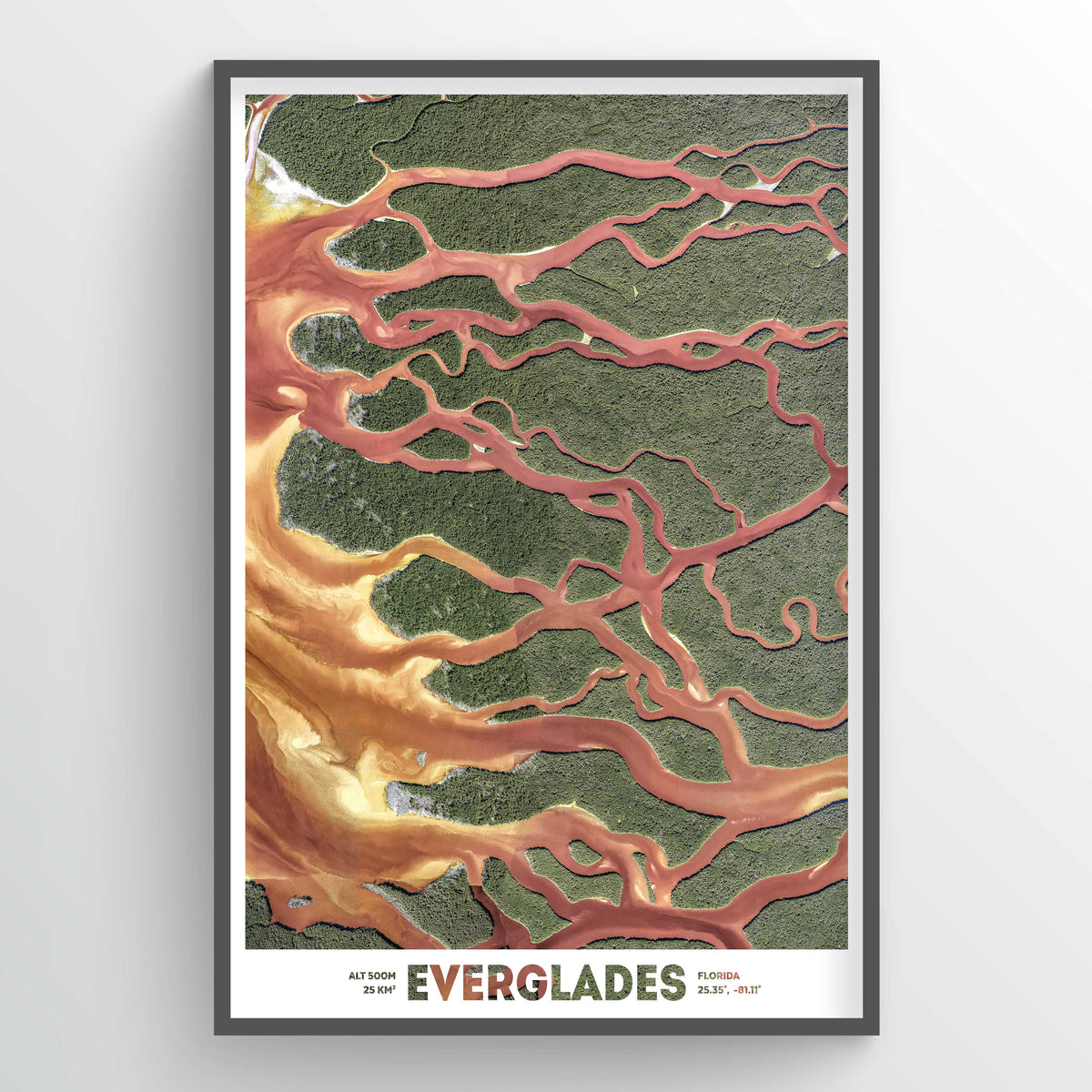 Florida Everglades Earth Photography - Art Print - Point Two Design