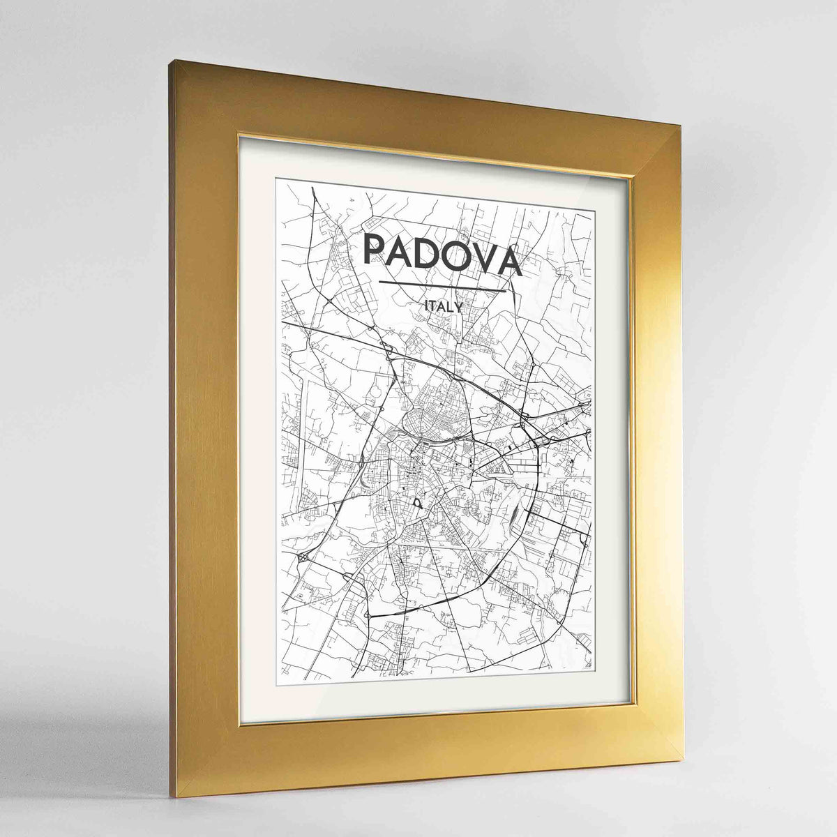 Framed Padova Map Art Print 24x36&quot; Gold frame Point Two Design Group