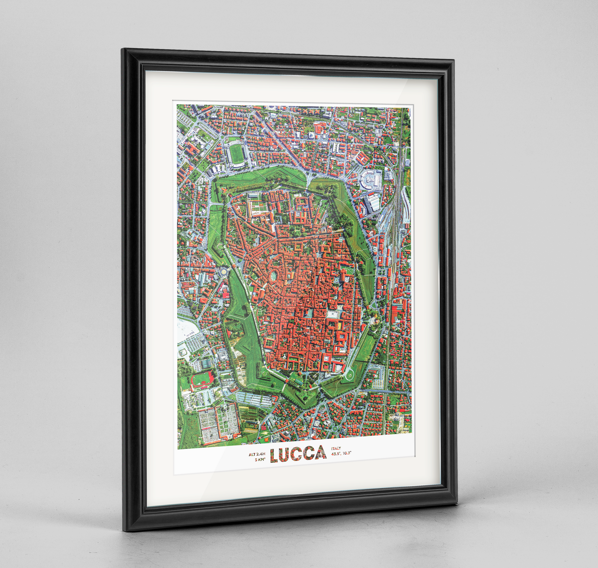 Lucca - Fine Art