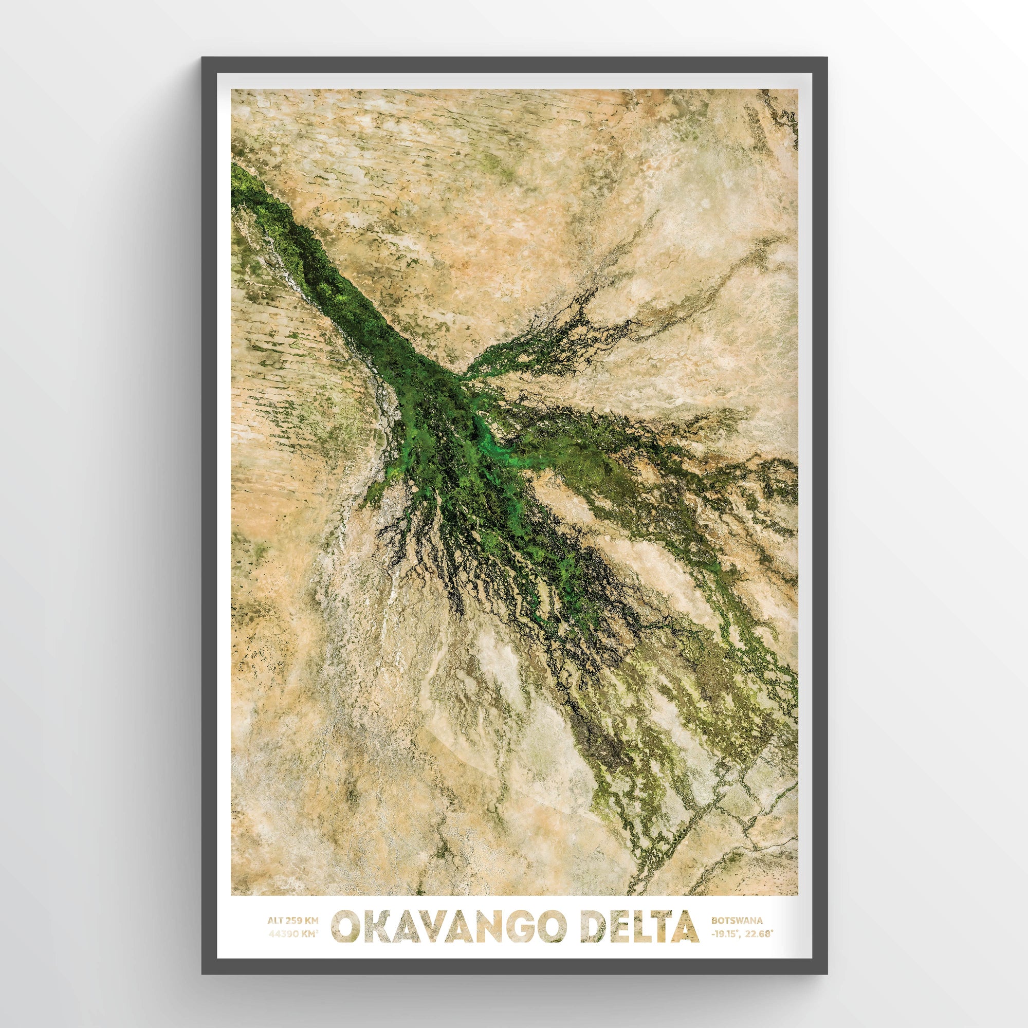 Okavango Delta - Fine Art