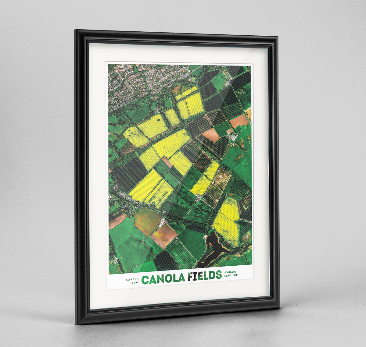 Canola Fields Earth Photography - Art Print - Point Two Design