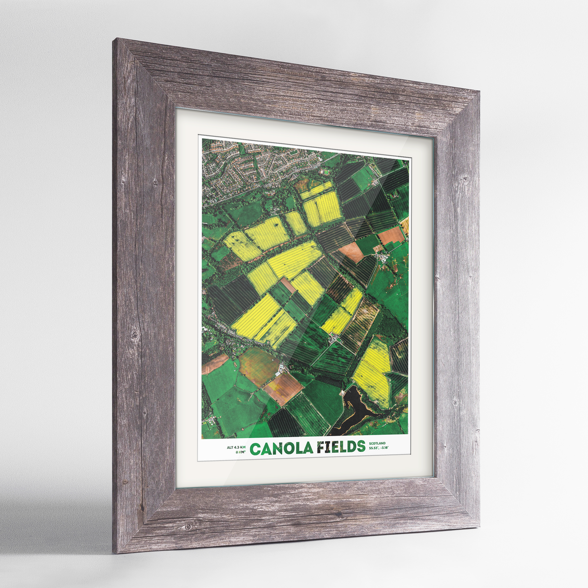 Canola Fields Earth Photography Art Print - Framed