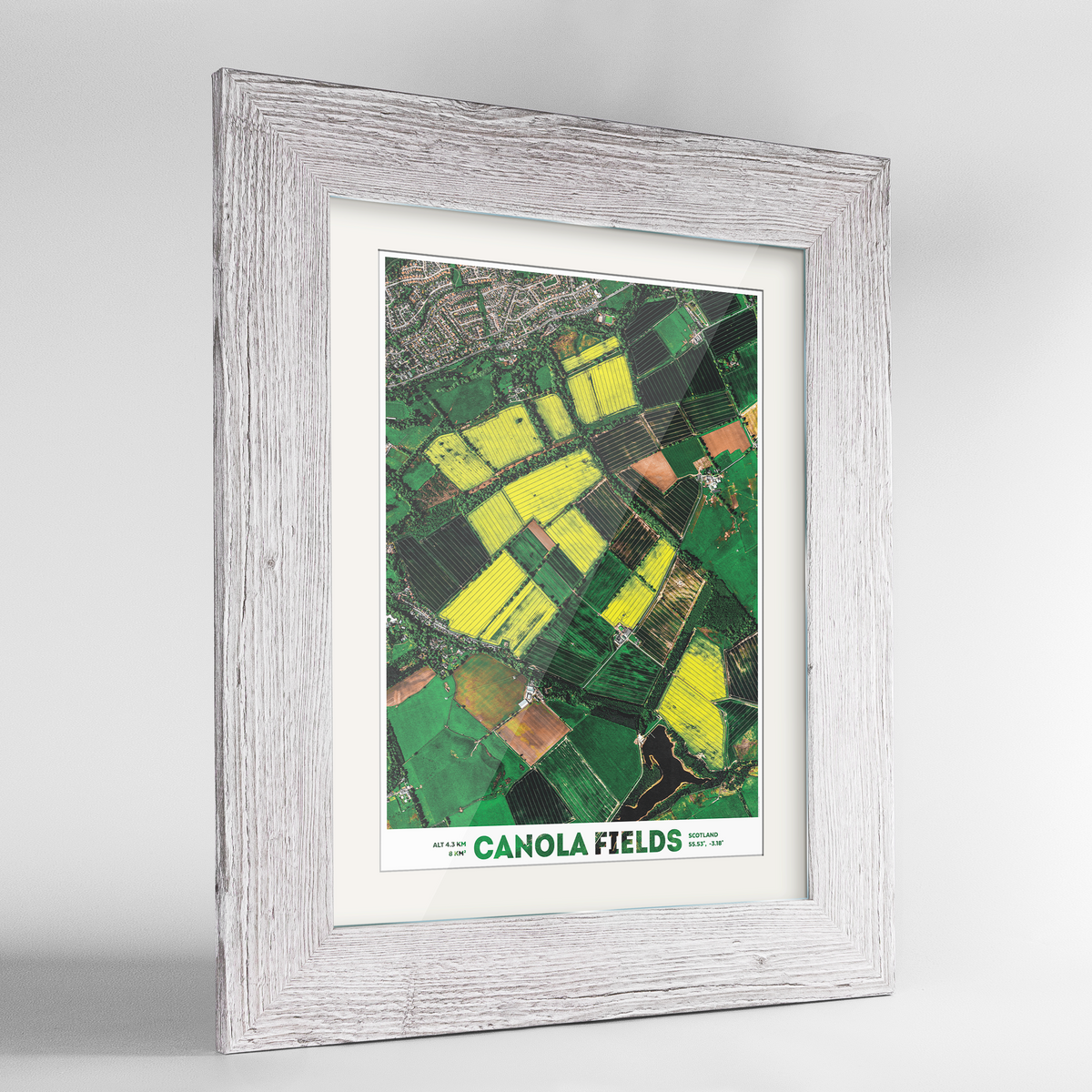 Canola Fields Earth Photography Art Print - Framed