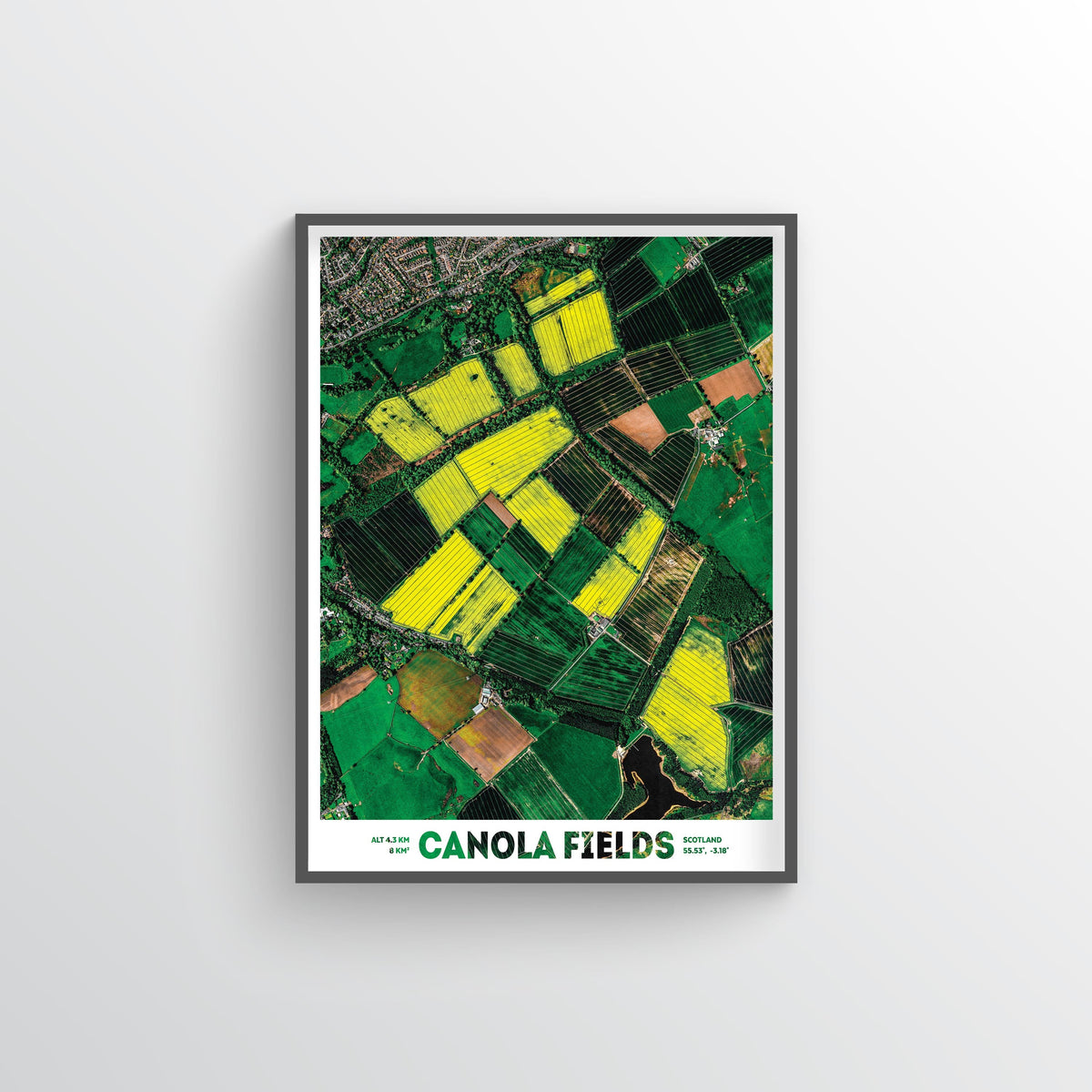 Canola Fields Earth Photography - Art Print