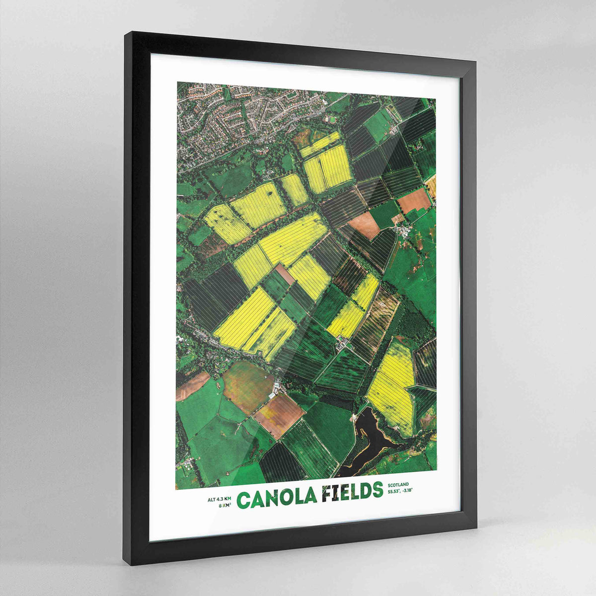 Canola Fields Earth Photography - Art Print - Point Two Design