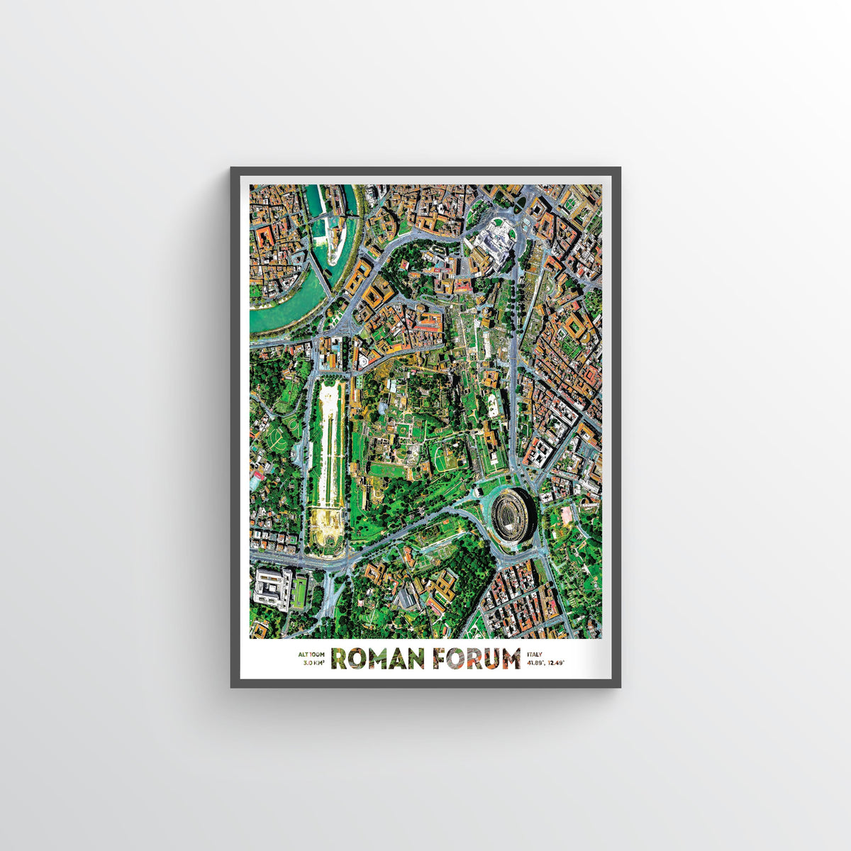 Roman Forum Earth Photography - Art Print
