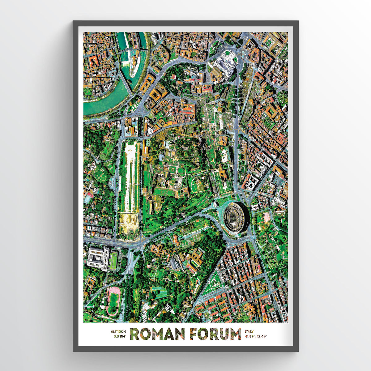Roman Forum - Fine Art