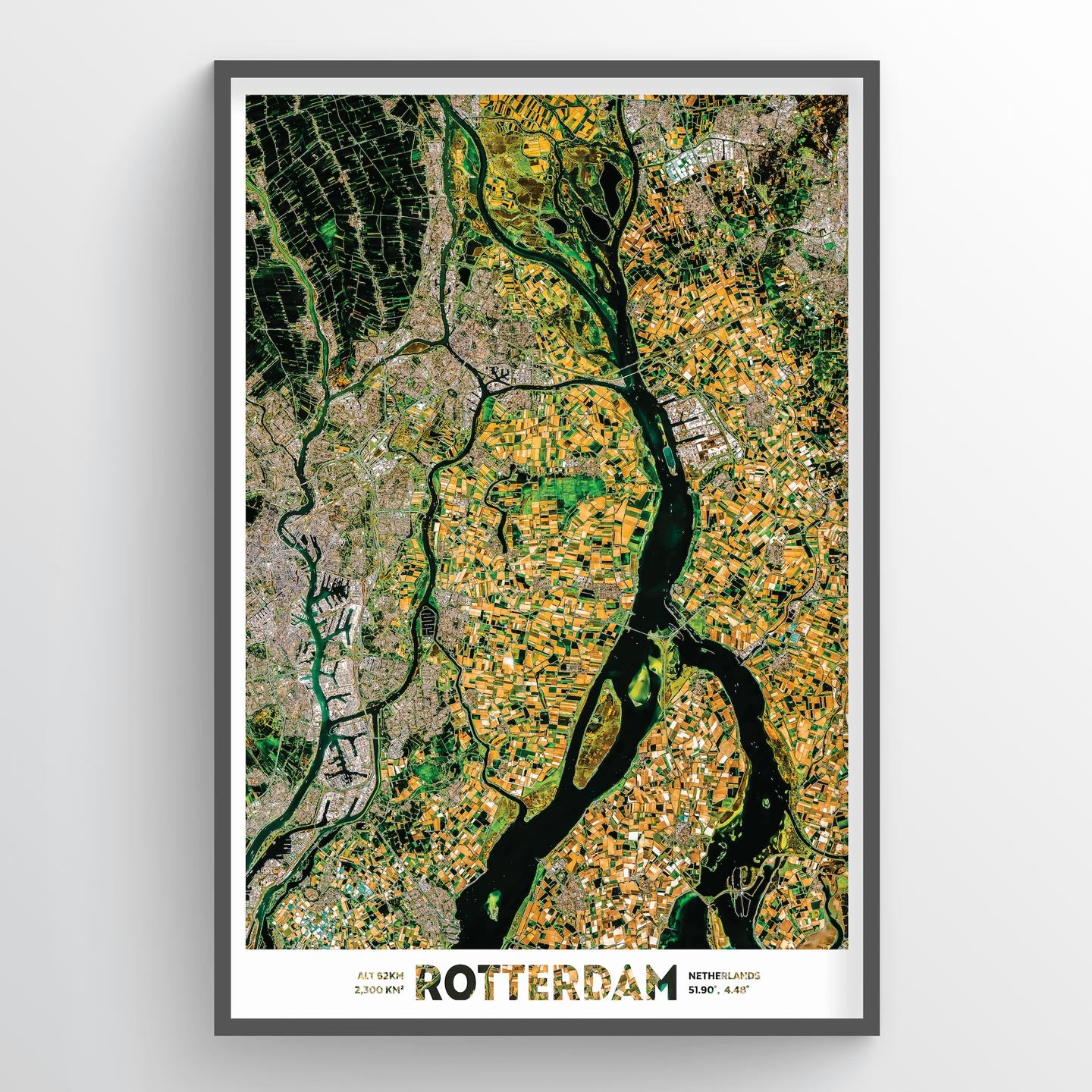 Rotterdam - Fine Art