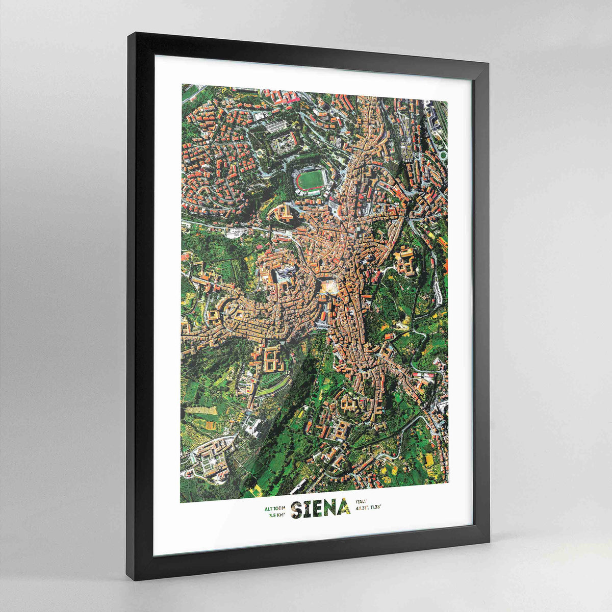Siena - Fine Art