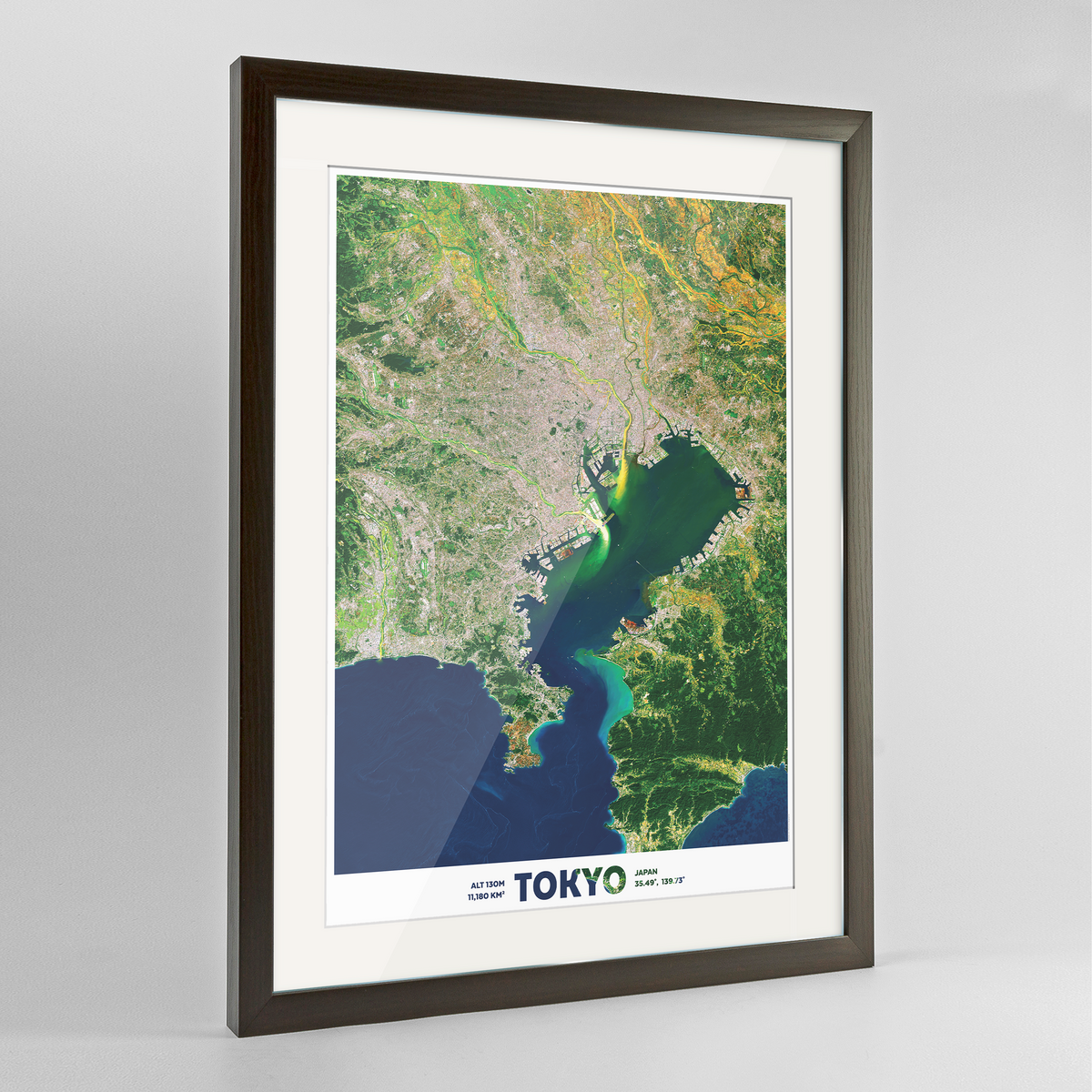 Tokyo Earth Photography Art Print - Framed