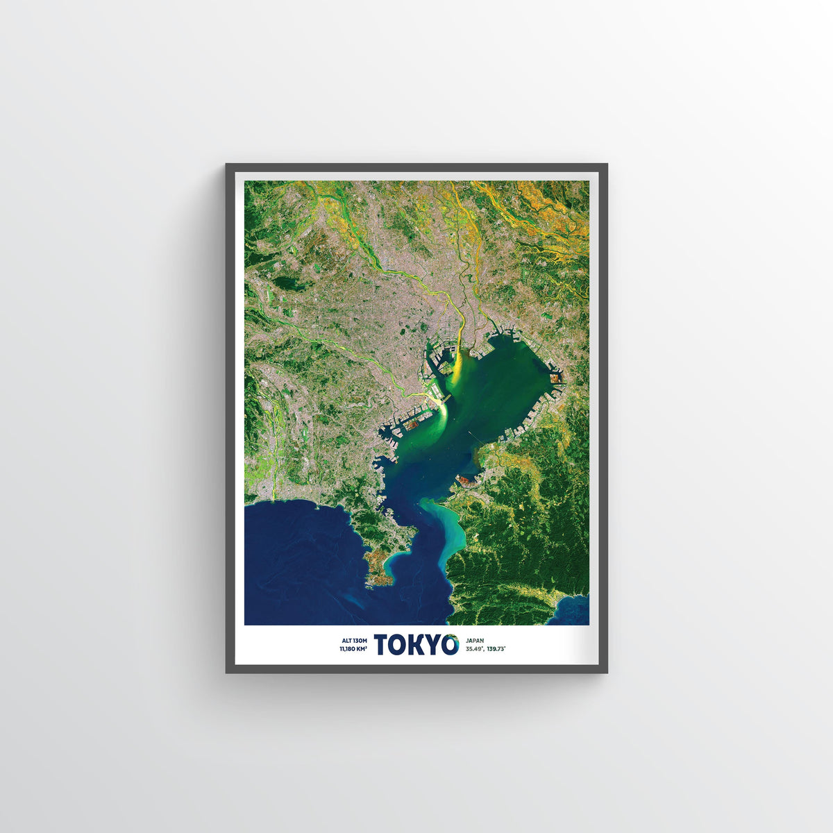 Tokyo Earth Photography - Art Print