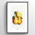 Pear Botanical Art Print