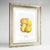 Quince Botanical Art Print - Framed