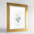 Agrimony Botanical Art Print - Framed