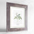 Anemone Botanical Art Print - Framed