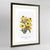 Black Eyed Susan Botanical Art Print - Framed