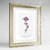 Clustered Bellflower Botanical Art Print - Framed