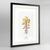 Furze Botanical Art Print - Framed