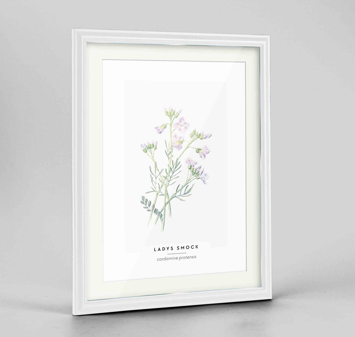 Lady&#39;s Smock Botanical Art Print - Framed