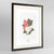 Lilac Botanical Art Print - Framed