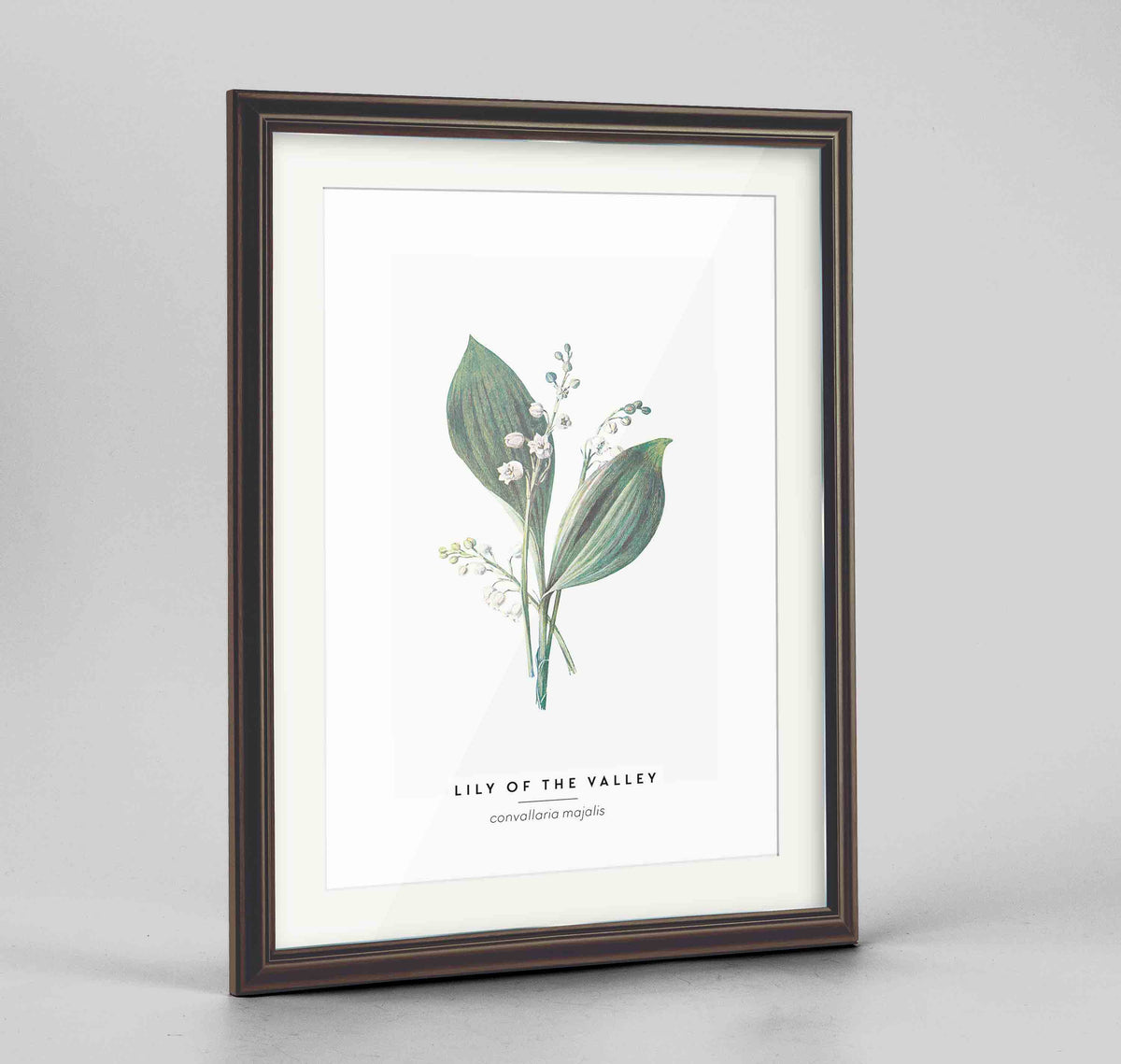 Lily Of The Valley Botanical Art Print - Framed