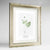 Moschatel Botanical Art Print - Framed