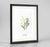 Primrose Botanical Art Print - Framed