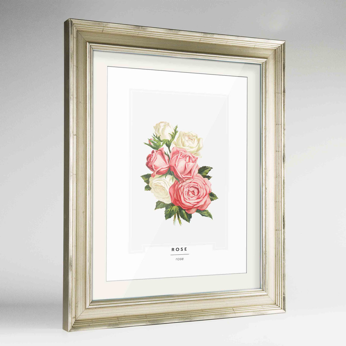 Rose Botanical Art Print - Framed