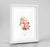 Rose Botanical Art Print - Framed