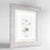 Saxifrage Botanical Art Print - Framed