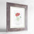 Scarlet Poppy Botanical Art Print - Framed