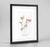 Spindle Tree Botanical Art Print - Framed