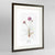 Thrift Botanical Art Print - Framed
