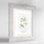 Touch Me Not Botanical Art Print - Framed