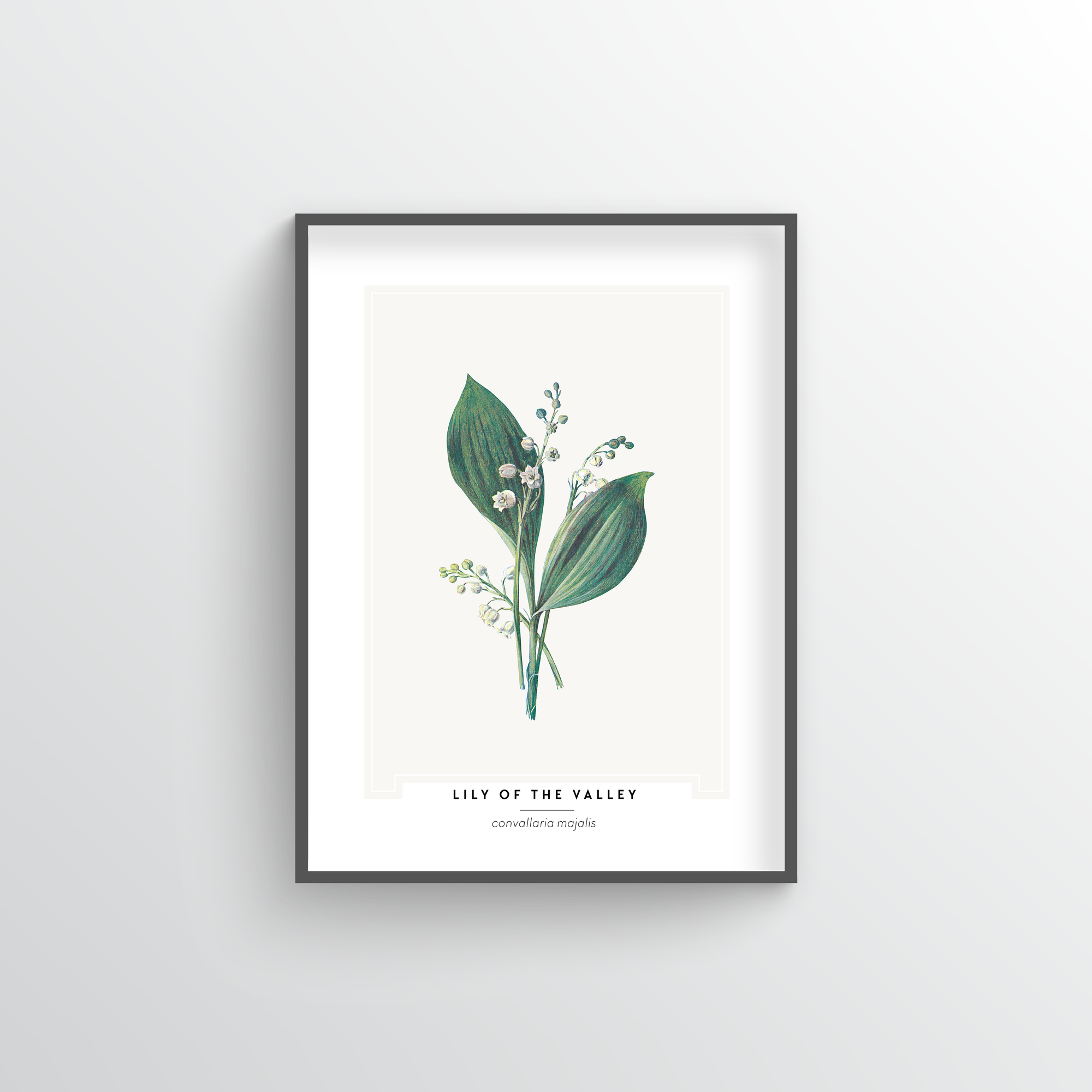 Lily of the Valley Art Print