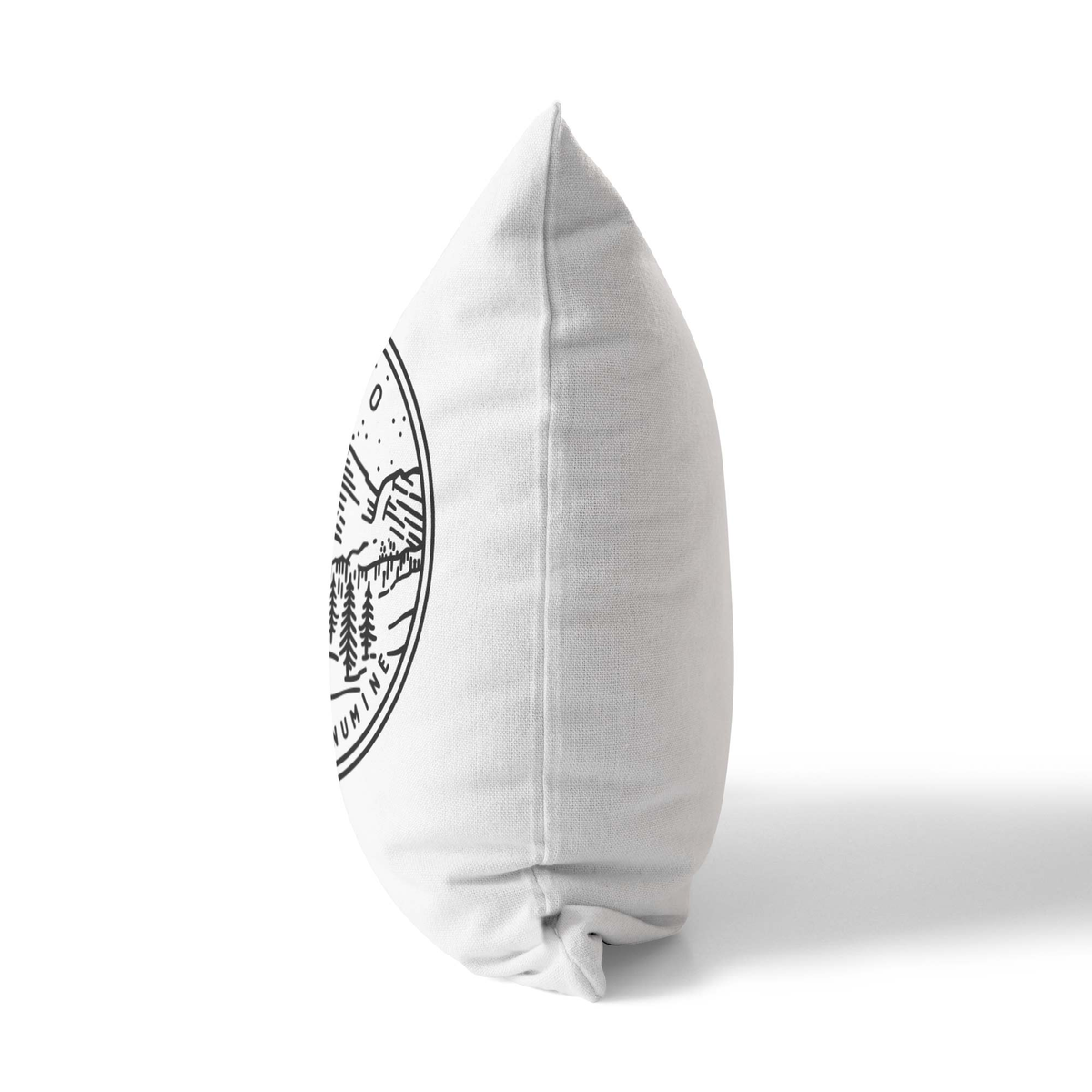 Colorado State Crest Velveteen Throw Pillow - Point Two Design