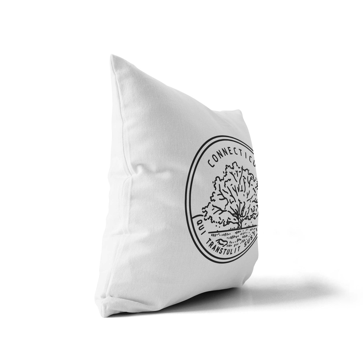 Connecticut State Crest Velveteen Throw Pillow - Point Two Design