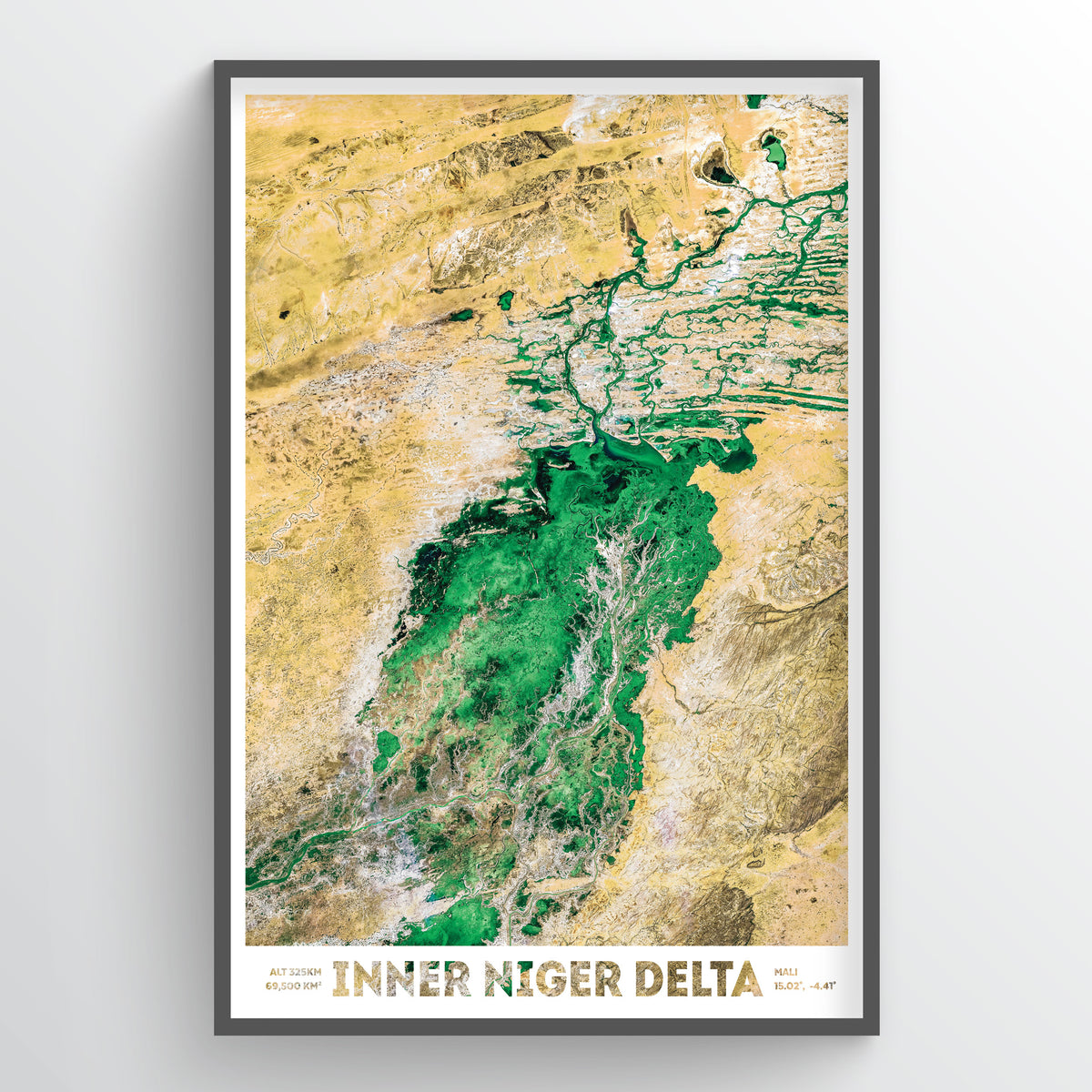 Inner Niger River Delta Earth Photography - Art Print